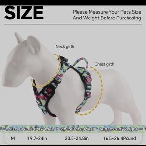 LED Dog Harness, Lighted Up Dog Harness, No-Pull Rainbow-M, Medium)